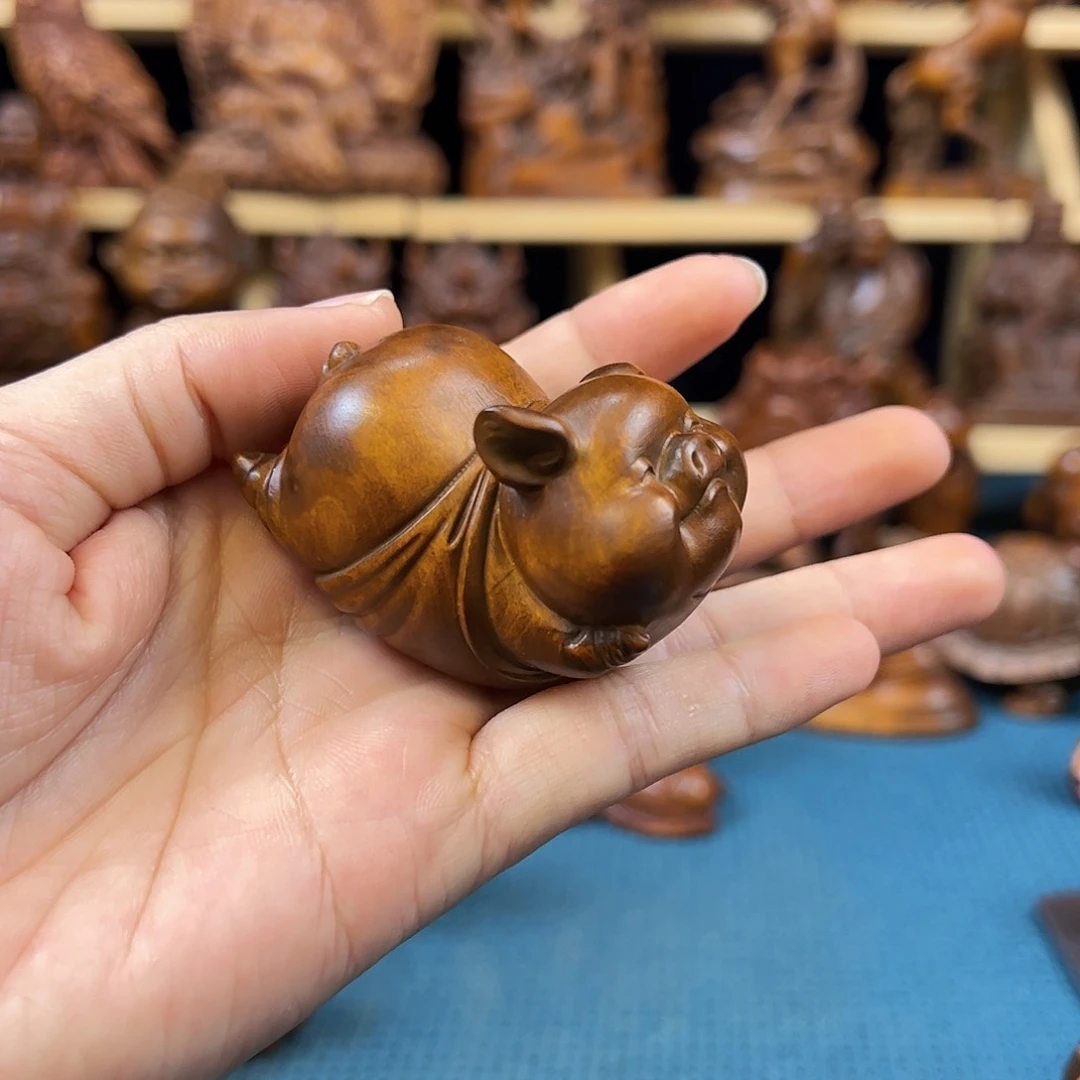 黄杨木小叶黄杨木