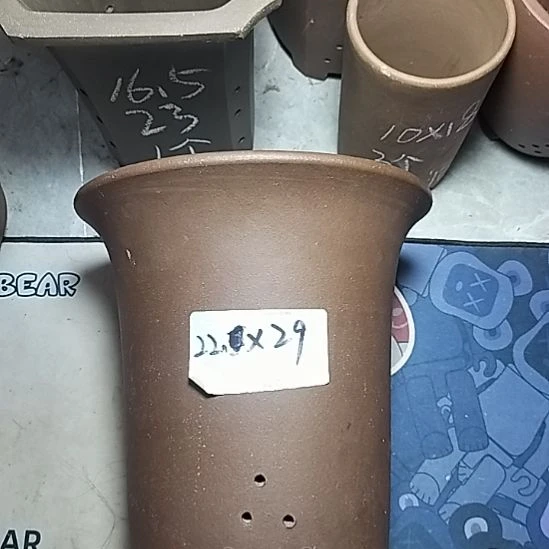莲花金钟一个花盆