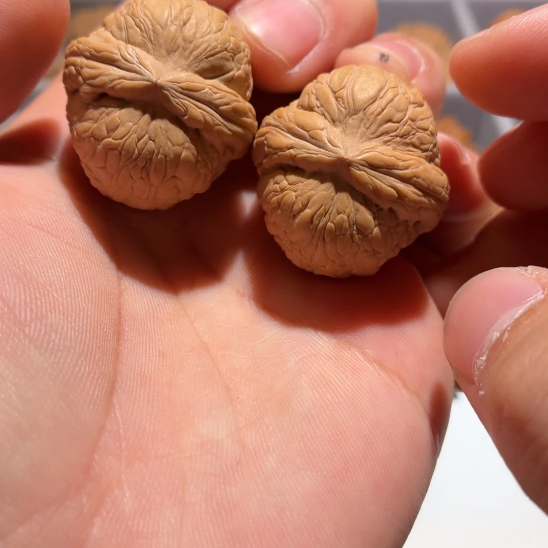 文玩核桃元宝A12文玩核桃