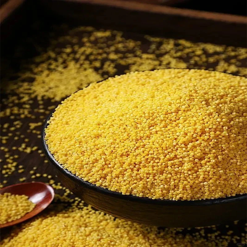 珠妈甄选-金黄小米