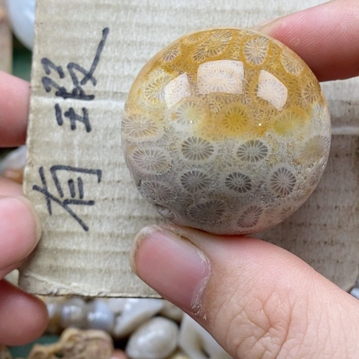 硅化珊瑚（珊瑚玉）未镶嵌颈饰