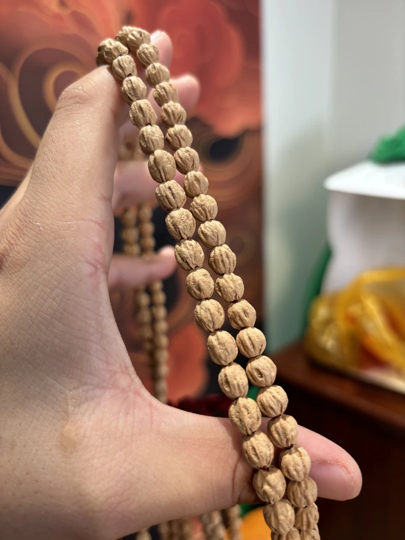 热振寺老树高桩顺纹百香籽一刀未动，尺寸6.6➕（发其一文玩）