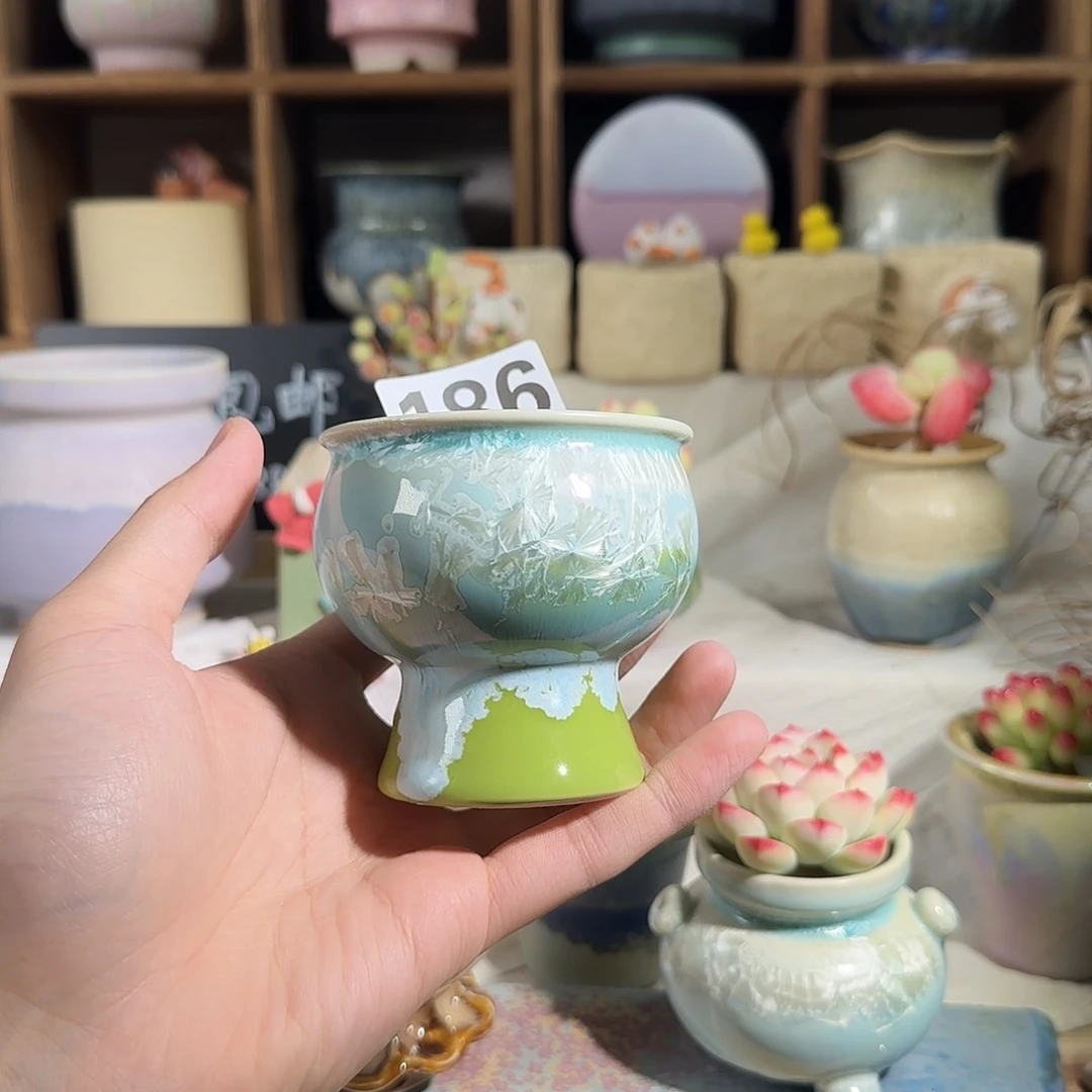 *****186口6 默认微瑕