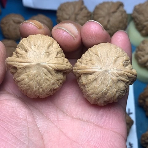 把件文玩核桃安*?40尺铁锤妹妹