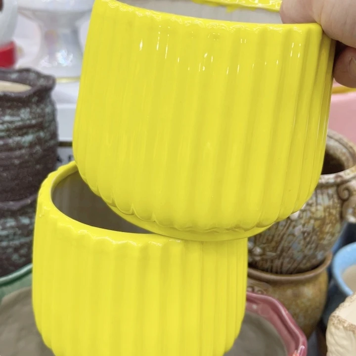 多肉植物陶瓷花盆