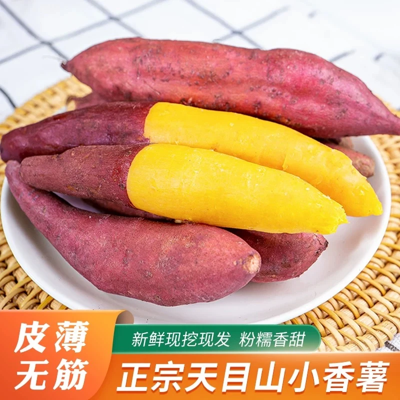 【新鲜现挖】天目山小香薯肉质细腻香甜软糯红皮黄心粗粮好吃