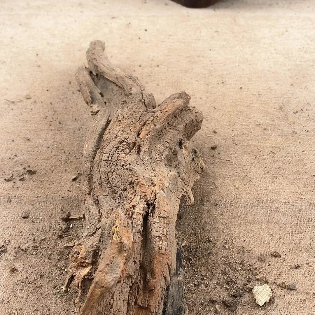 木星****人黄花梨随形料子