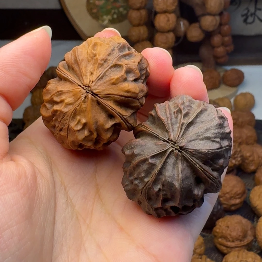 大***苗文玩核桃把件紫金甲壳虫40.4