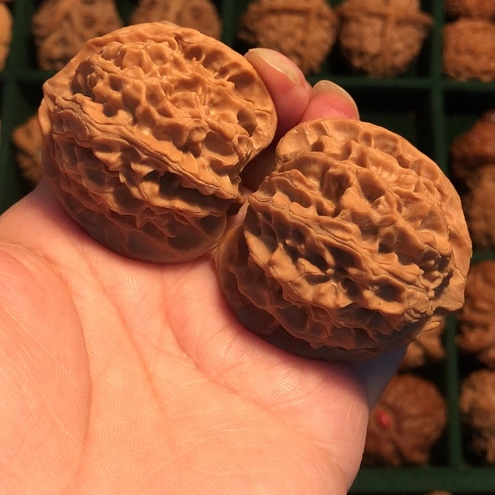 嘿***长文玩核桃把件苹果园