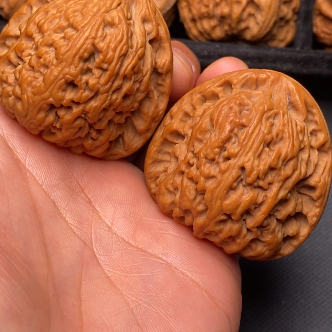 把件文玩核桃秦岭野生植物资源