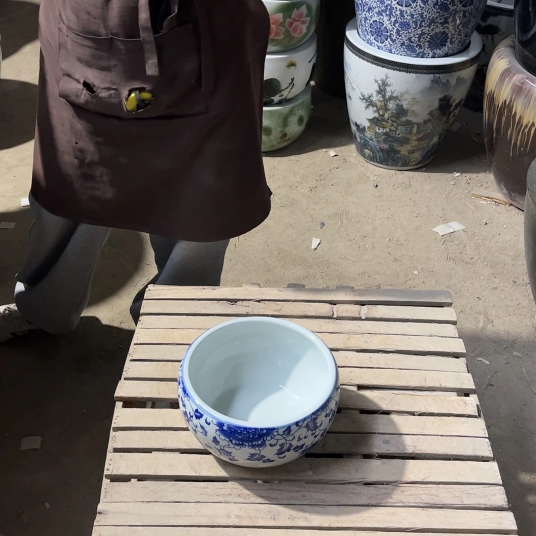 瓷片吊兰23.888888888