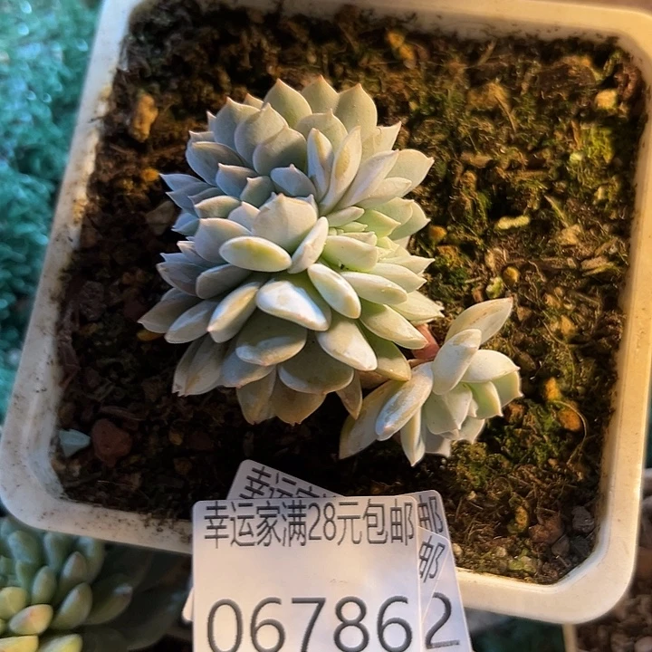 幸运的是我还没遇到过