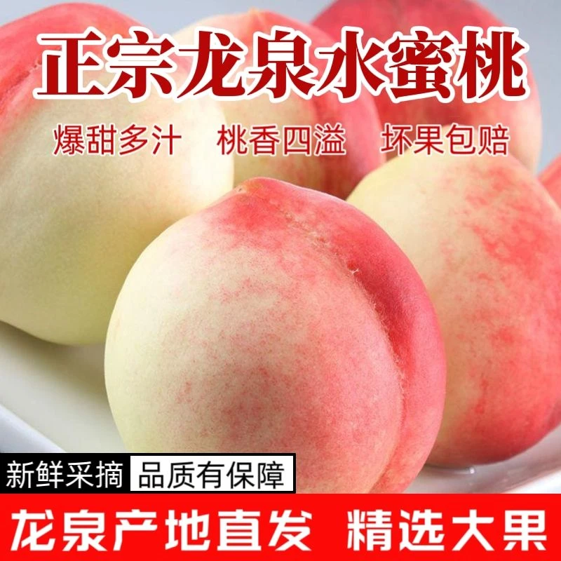 龙泉山水蜜桃新鲜采摘脆甜可口应季桃子