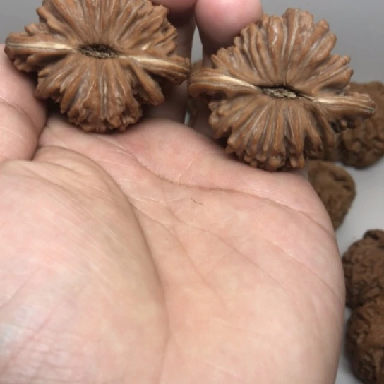 48尺寸四座楼核桃