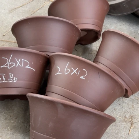 100-6。       26-12