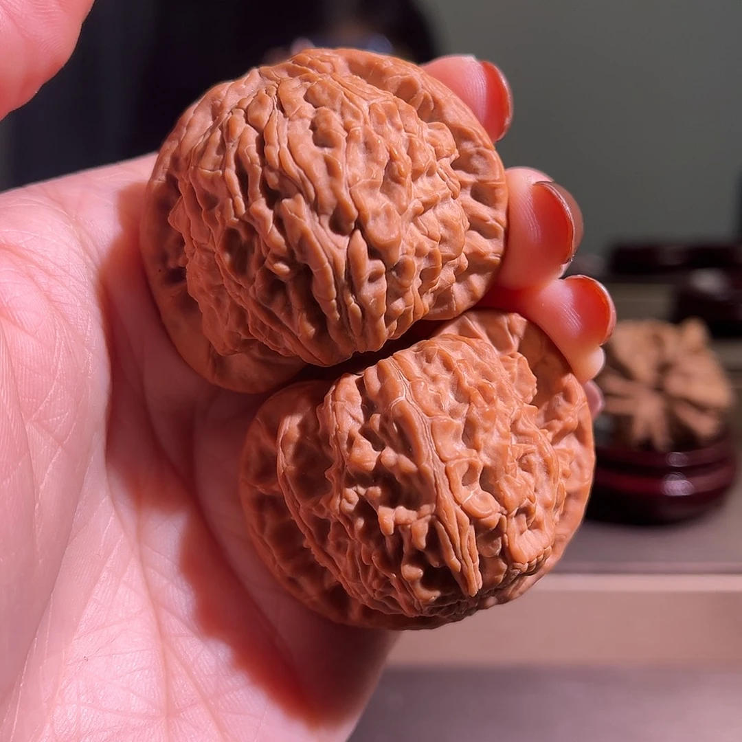 核桃白狮子全品无休