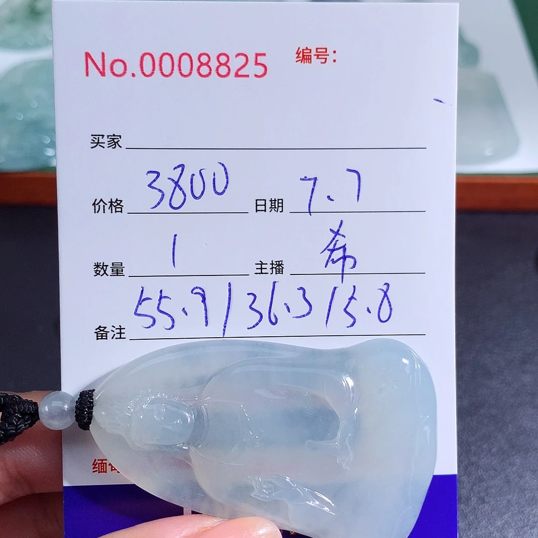 【闪购商品】翡翠未镶嵌颈饰