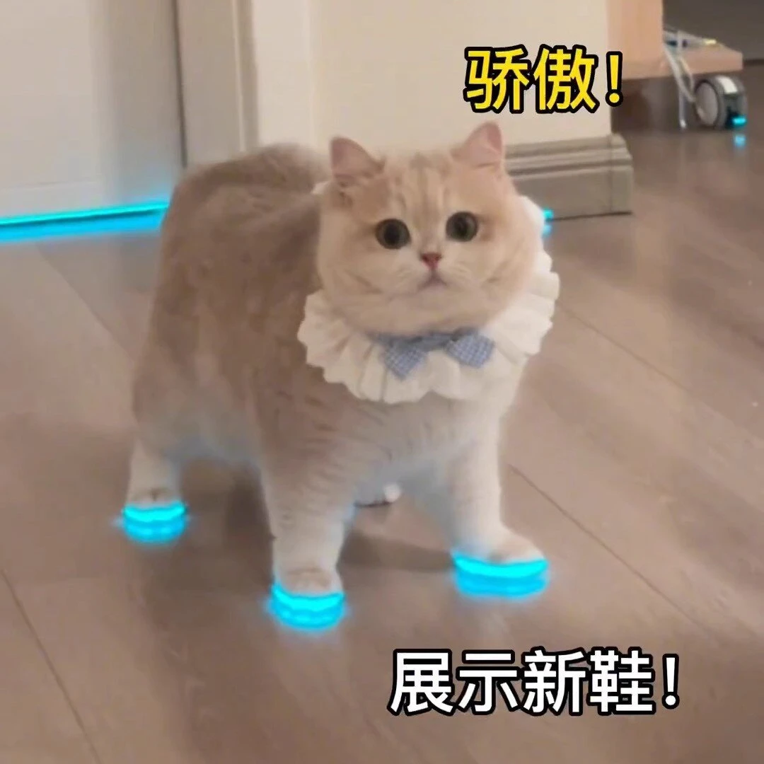 猫咪发光鞋子狗狗宠物宝宝夜间反光拍视频配饰穿的拍照用配件