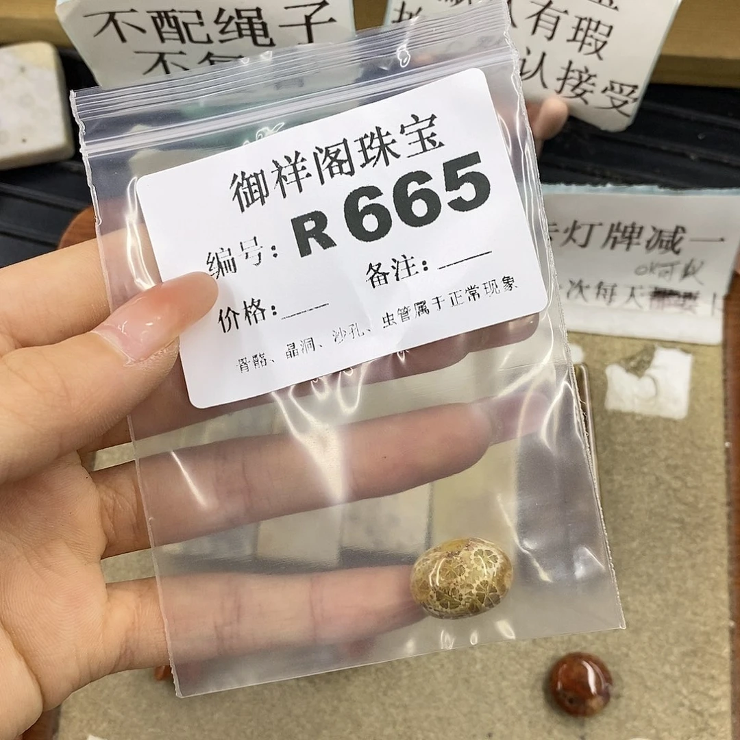 硅化珊瑚（珊瑚玉）未镶嵌颈饰小****?