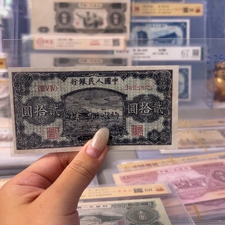 一版二十元打场3485963