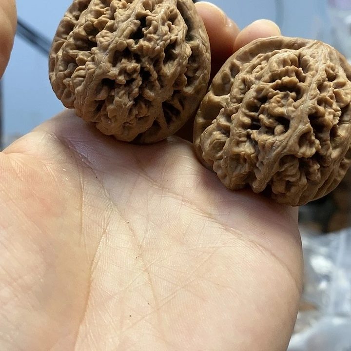 把件文玩核桃41.5红皮大肚子粗筋