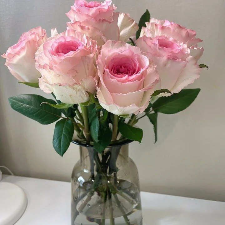 【1枝居家花】粉玫瑰家居家居办公室装饰（满10只起送，不含花瓶）