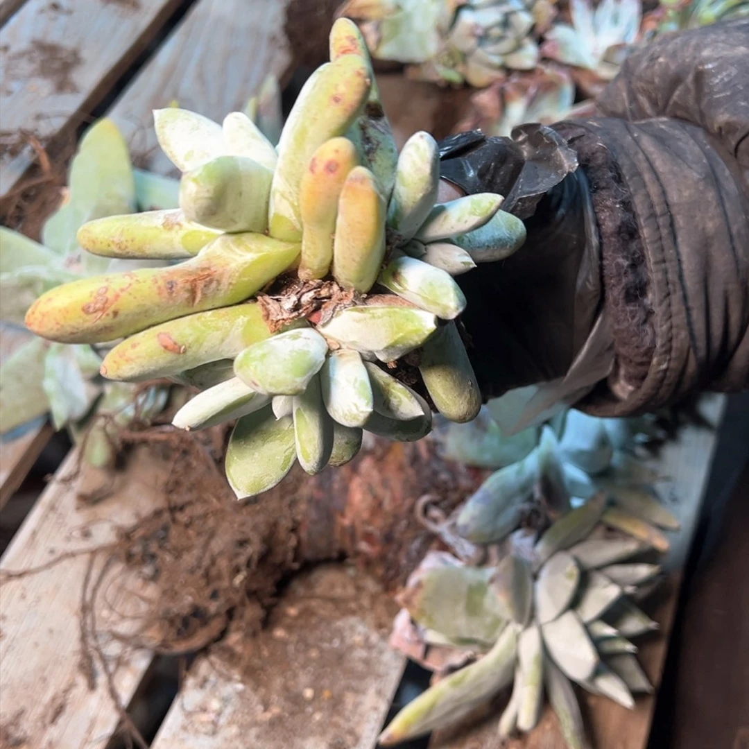 7507哈哈哈哈哈哈哈哈