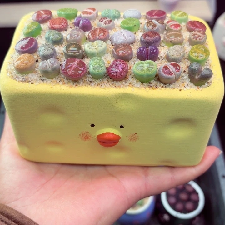 826凑满18包邮零下地区记得拍保温箱