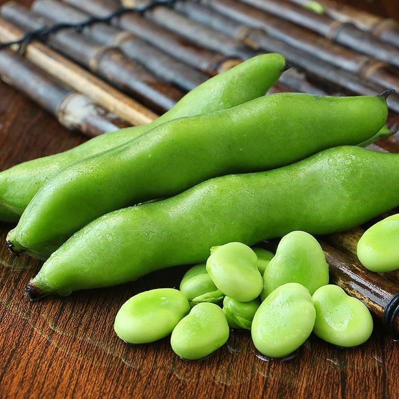 四川高山新鲜现摘现发云南农家自种嫩胡豆罗汉豆青蚕豆兰花豆带壳