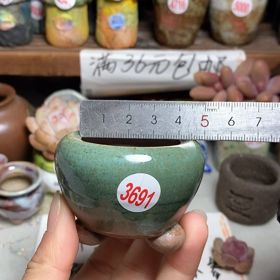 红陶拍5送一个小