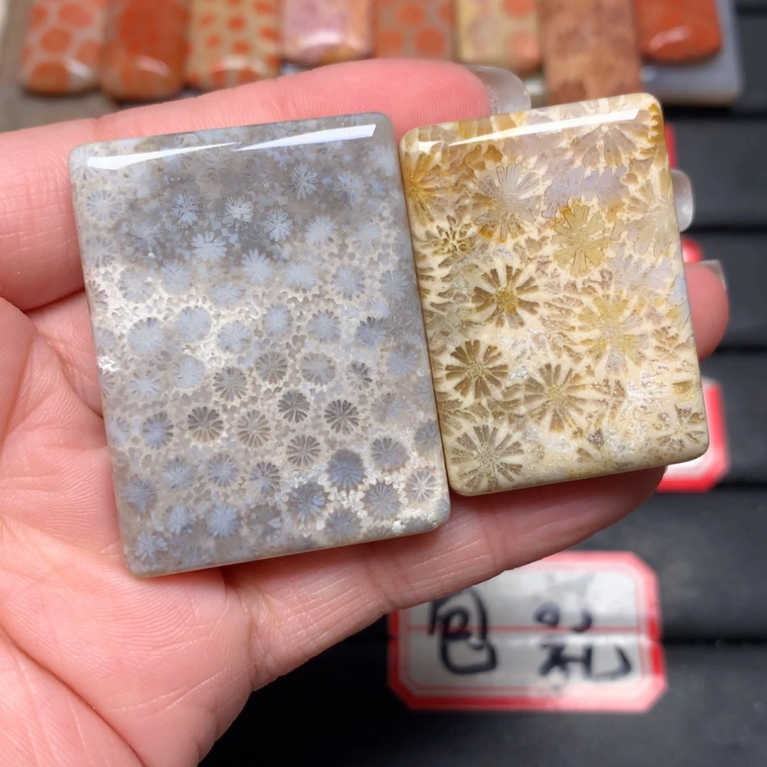 【闪购商品】未镶嵌颈饰硅化玉森**火