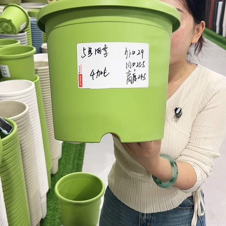 特价5号四季口29高24.5白色5只无托