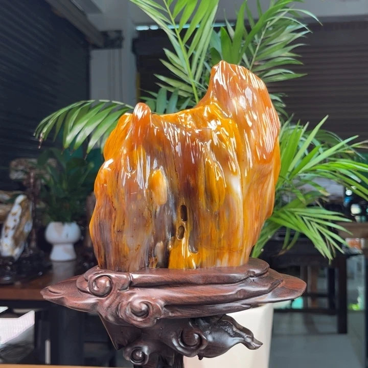 硅化玉（树化玉）未镶嵌摆件