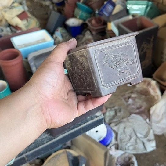 不去看书啊哈是真的想吐是