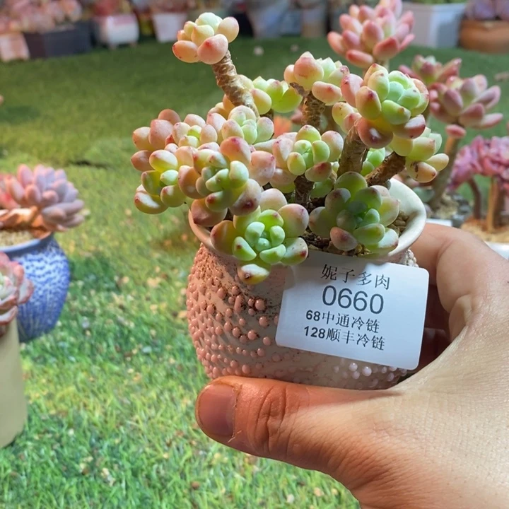 0660啊啊啊啊啊啊啊啊啊啊啊啊