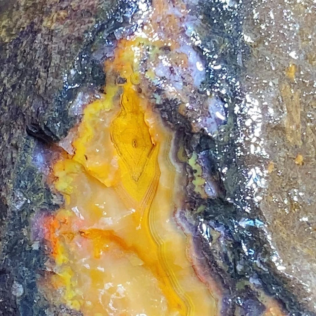定制玛瑙杨*战国红玛瑙