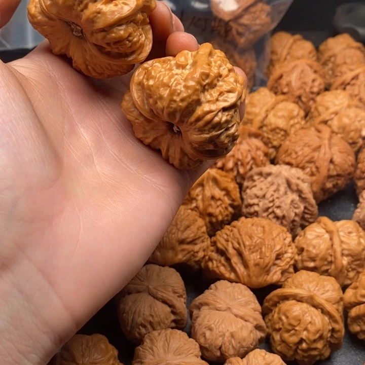 5555555555555566565555556365