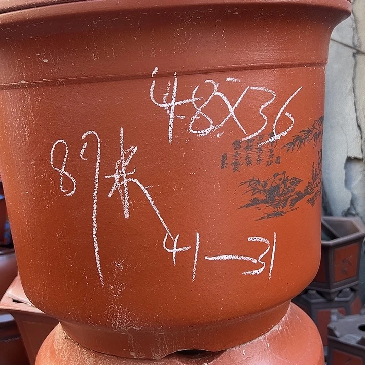 周深周深周深周深周深