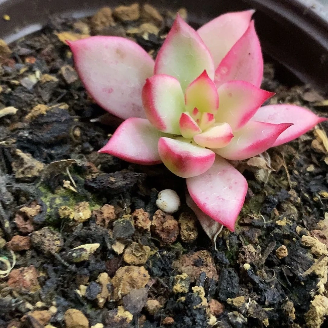 45哈哈哈哈哈哈哈哈