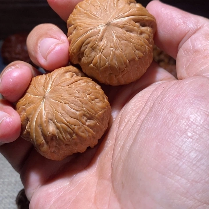 无***问把件文玩核桃核桃
