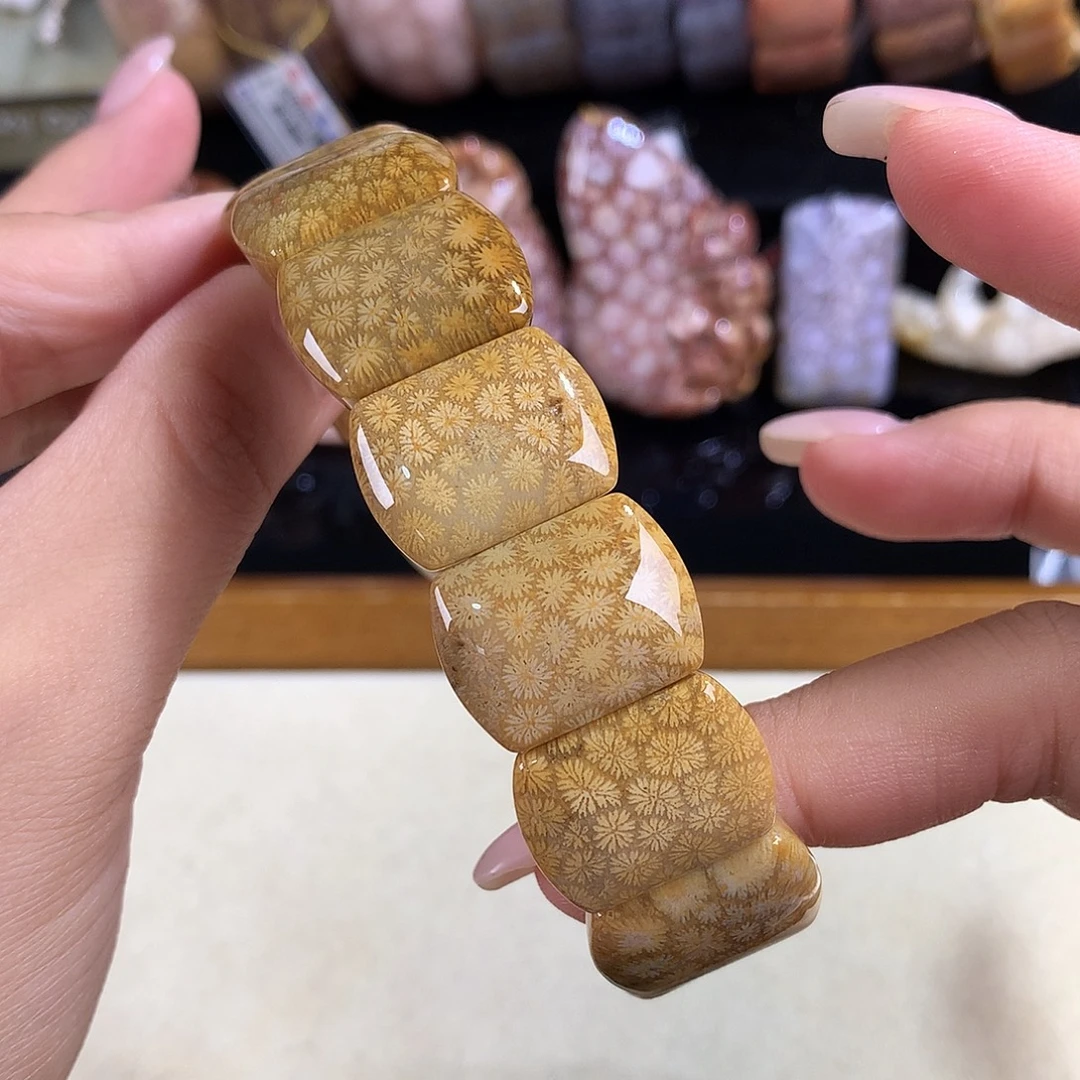 吊坠(赠链)未镶嵌硅化珊瑚（珊瑚玉）19号金枫叶