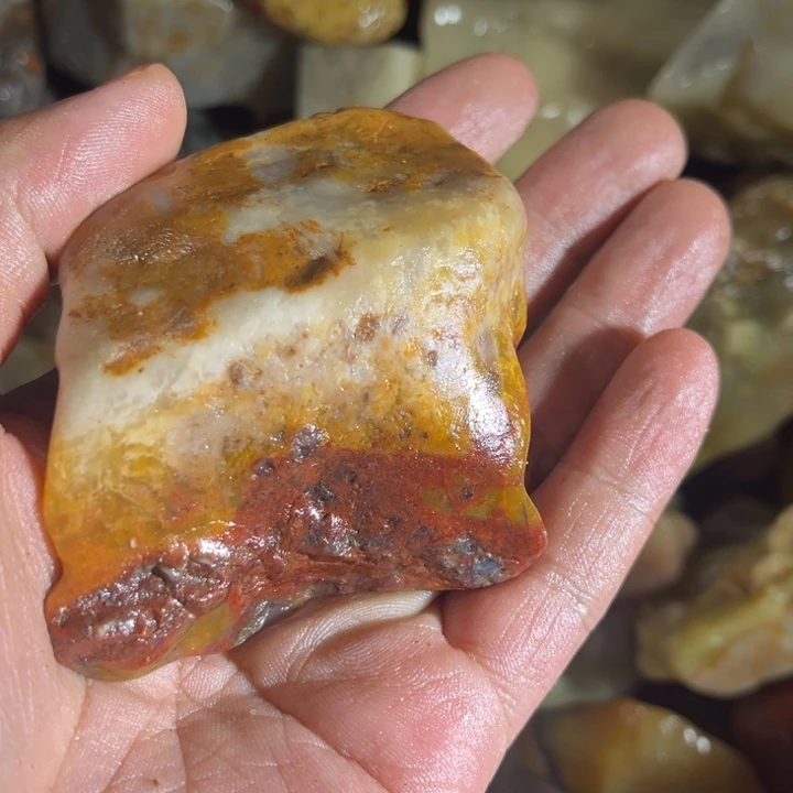 喵***主寿山石88888888888888