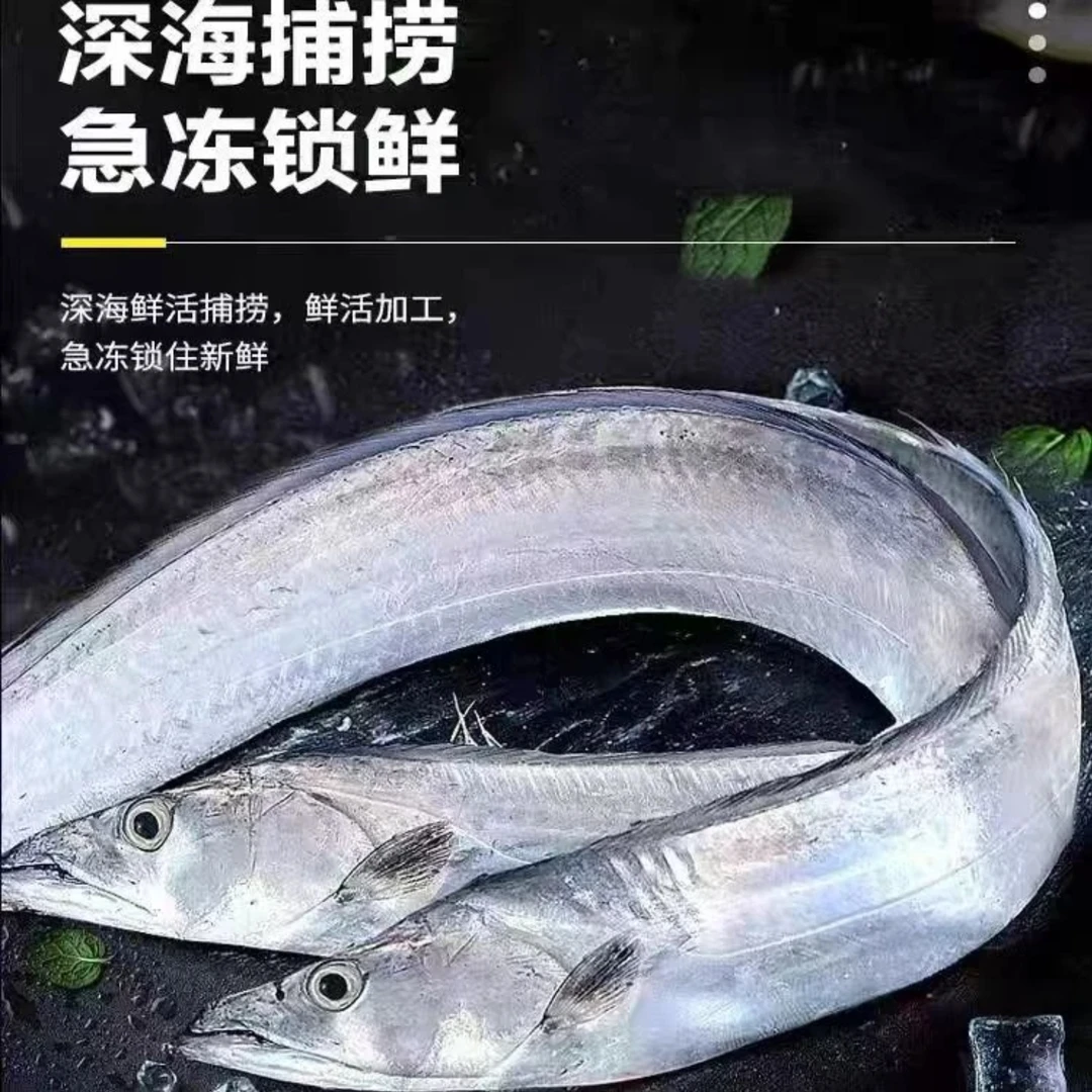 野生海钓黑眼油带鱼 5-6两/条 共5斤无破肚整条净重发顺丰冷链