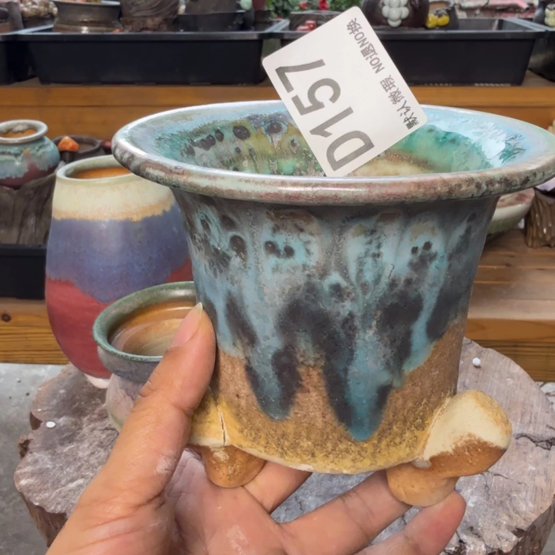 重庆小燕子欢迎大家157