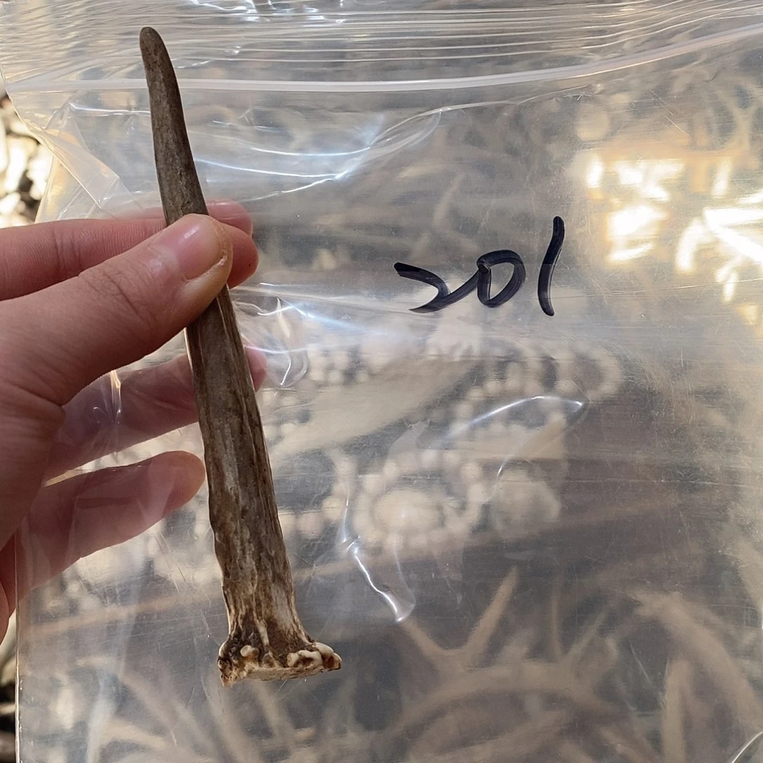 R***r非金属鹿角鹿角鹿角