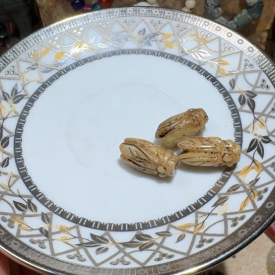 瓷片瓷瓷瓷瓷瓷瓷瓷瓷瓷