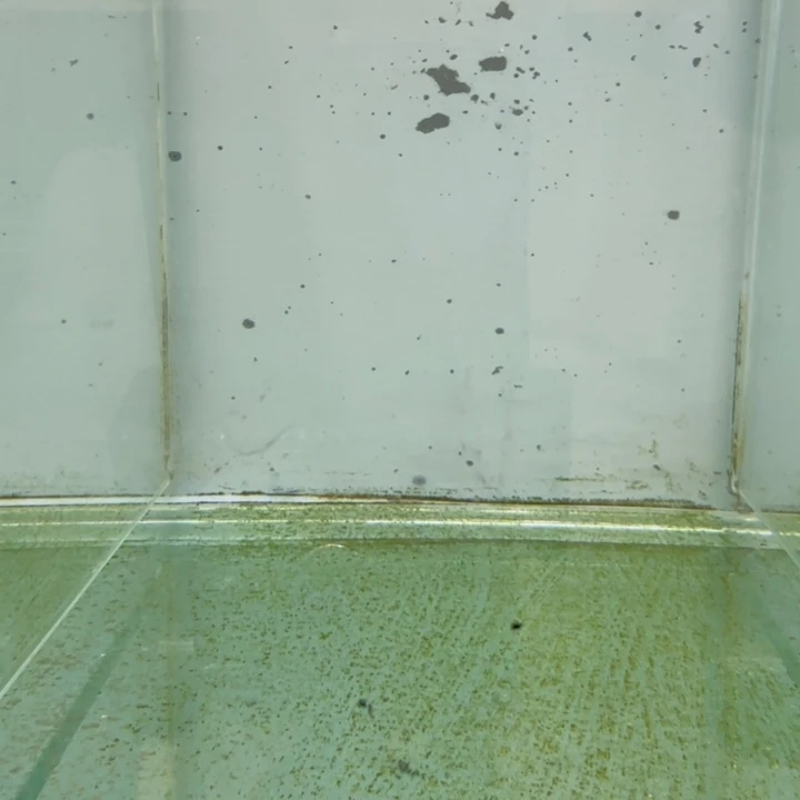 海水1079黄马mc。