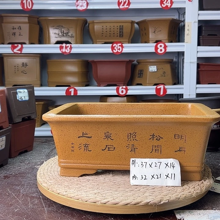 紫砂花盆蛇年大吉