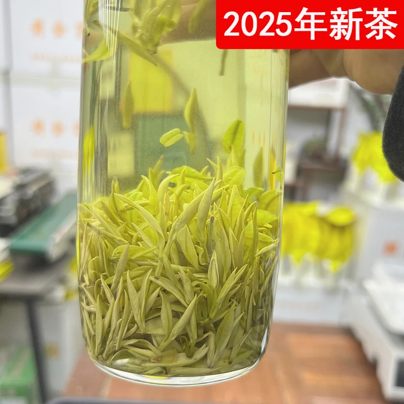 【2025年新茶】乃白茶精品头采小芽 黄金芽奶油香明前绿茶散装茶叶