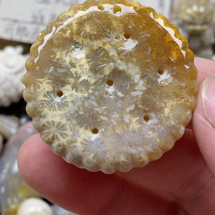 颈饰未镶嵌硅化珊瑚（珊瑚玉）